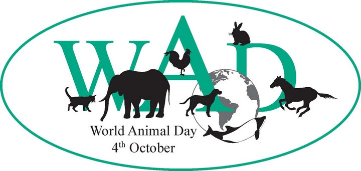 Всемирный день животных - 4 октября