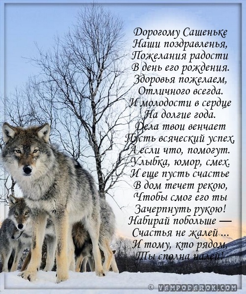Поздравления Александру в день рождения.