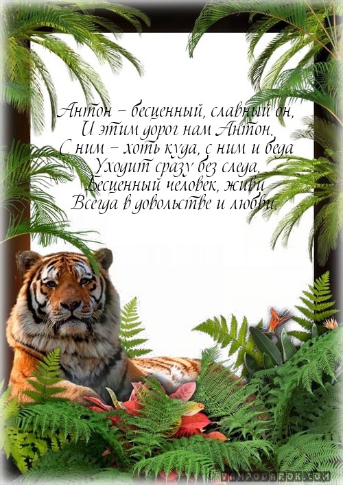 Антон (Антоний) (лат.) - бесценный…