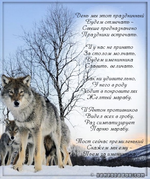 стих Антону, стихи с именем Антон…