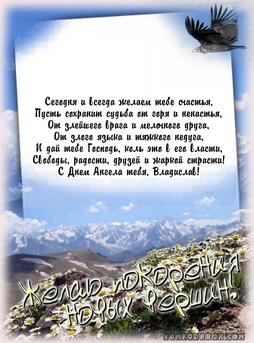 Поздравления для владиславы Поздравления для владиславы