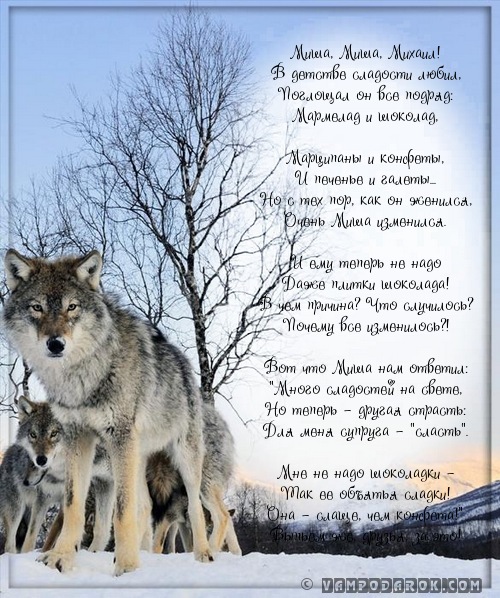 Миша, Миша, Михаил - стихи по именам…