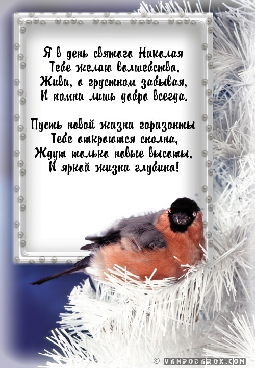 Подарки для птичек своими руками 70