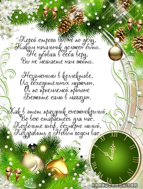 Порой строги вы, но по делу,…