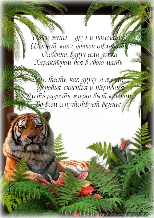 Отец жены – друг и помощник,…