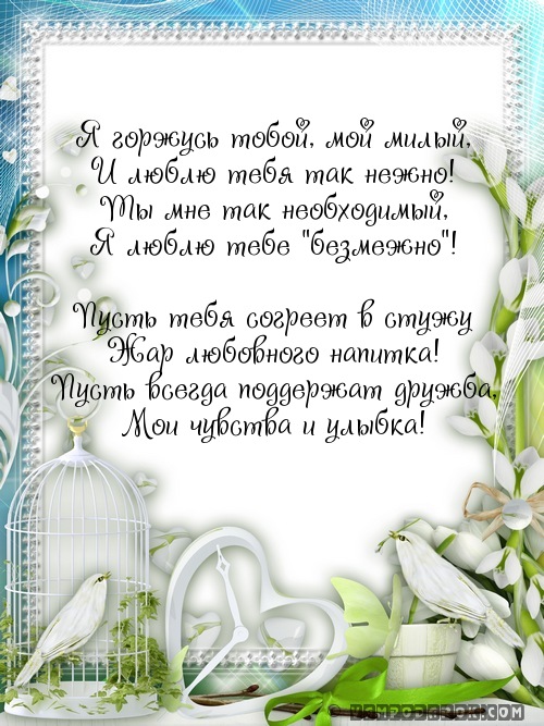 Я горжусь тобой, мой милый,…
