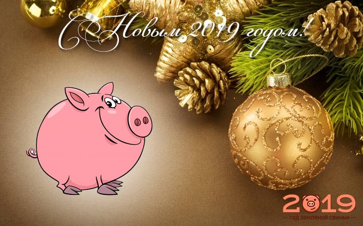 Поздравления С Новым Годом Свинья Видео