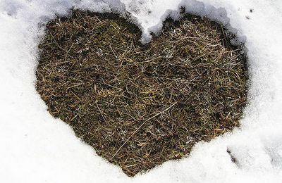 Стихи к 14 февраля
