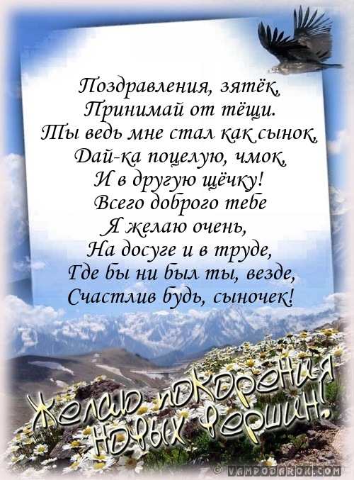 Днем, поздравление зятю с днем рождения картинки