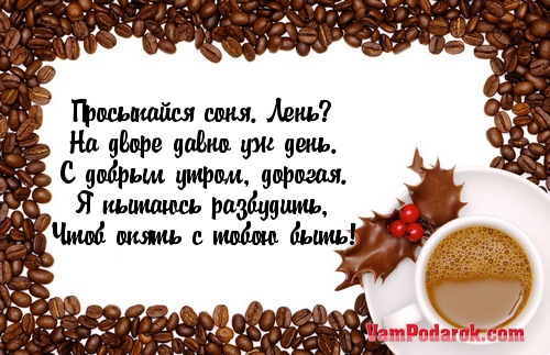 Том давай просыпайся: найдено 87 изображений