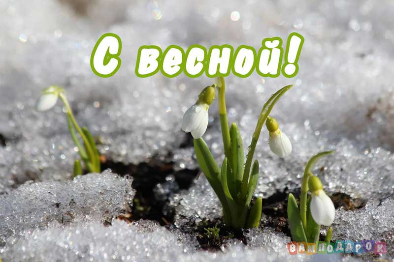 Поздравления с весной